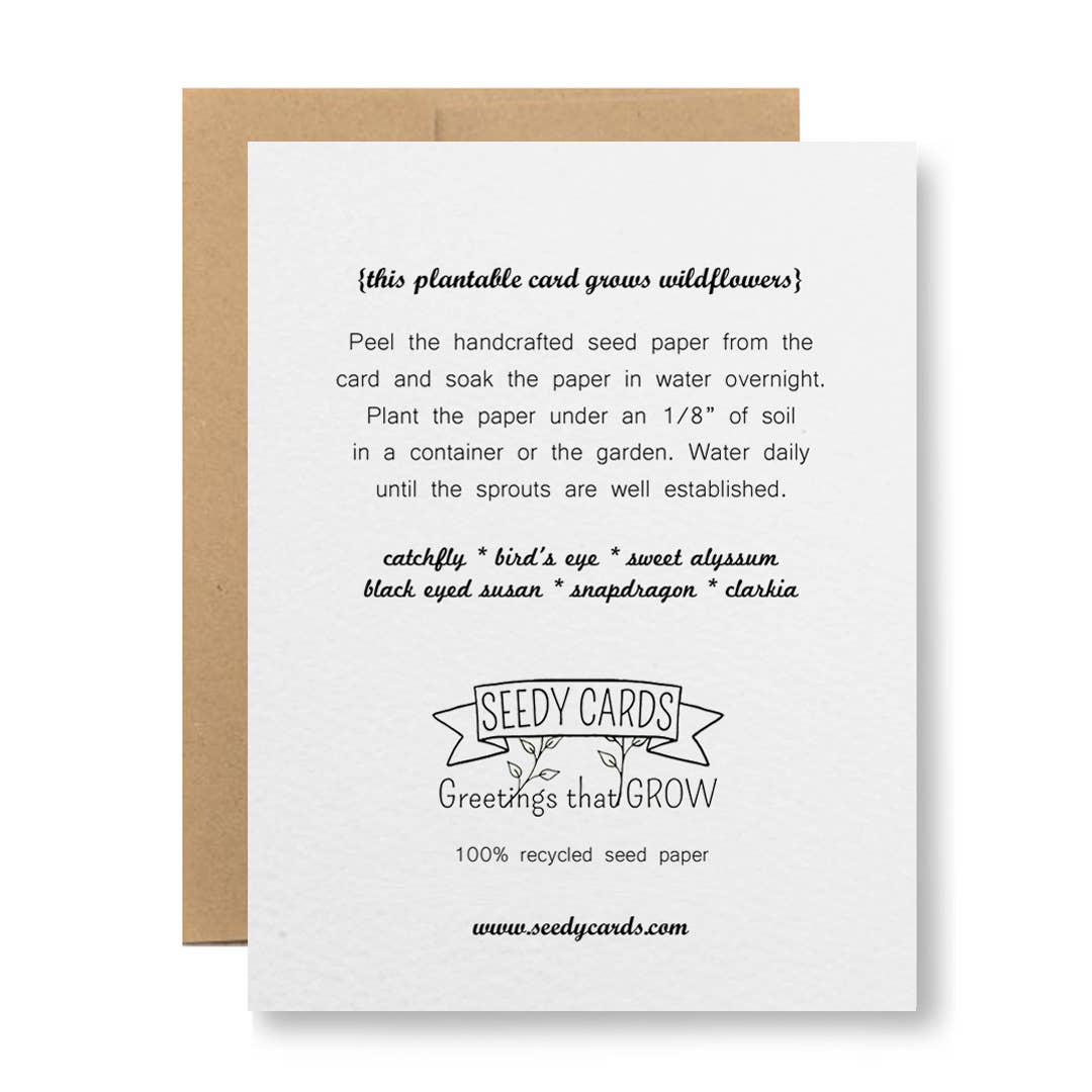 Plantable Seed Paper Greeting Card - Happy Birthday