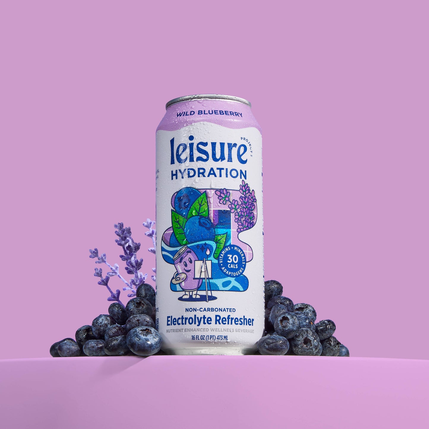 Leisure Hydration Electrolyte Wild Blueberry (16 oz x 12-Pack): 12pk