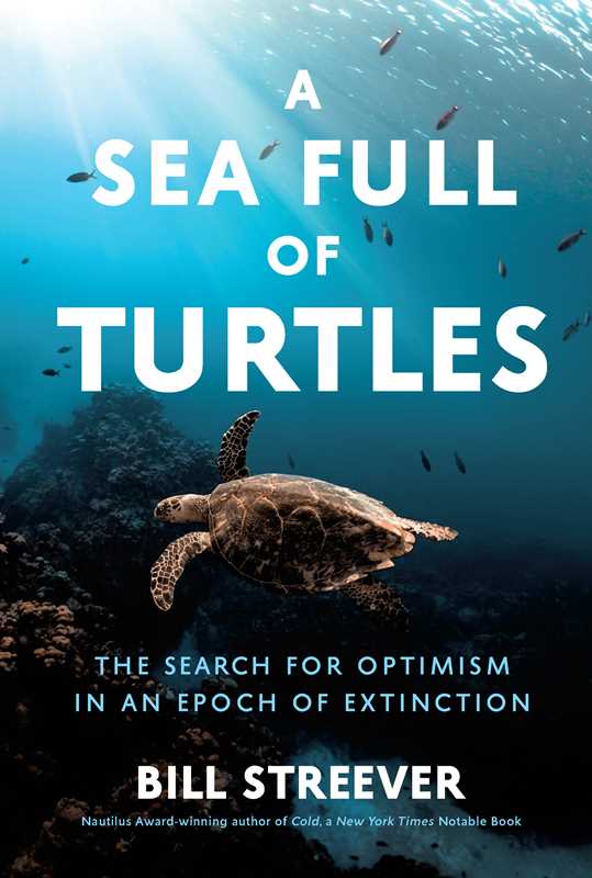 Sea Full of Turtles by Bill Streever: Hardcover; 256 pages / English