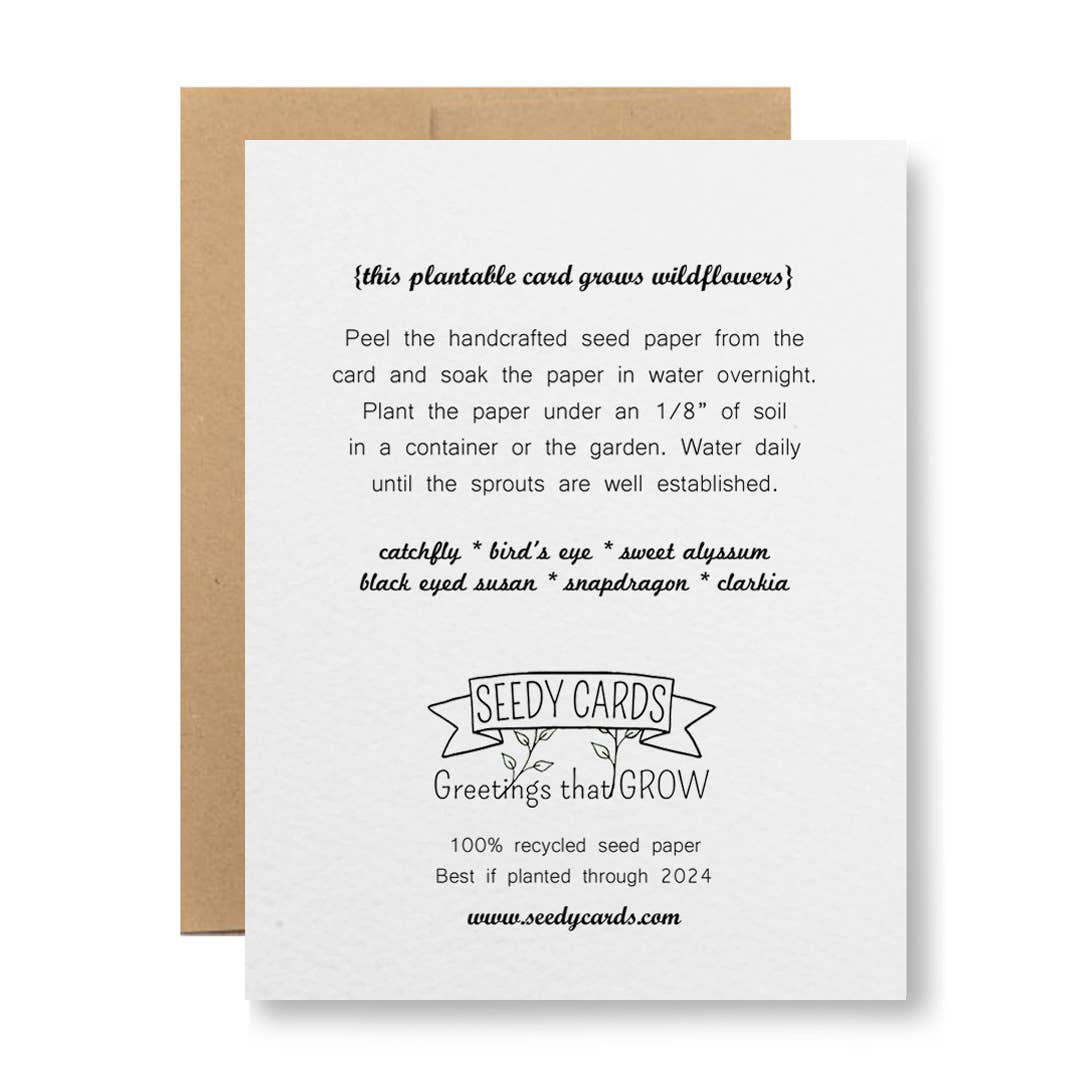 8 Colors - Seed Paper Greeting Card - Happy Birthday: Orange