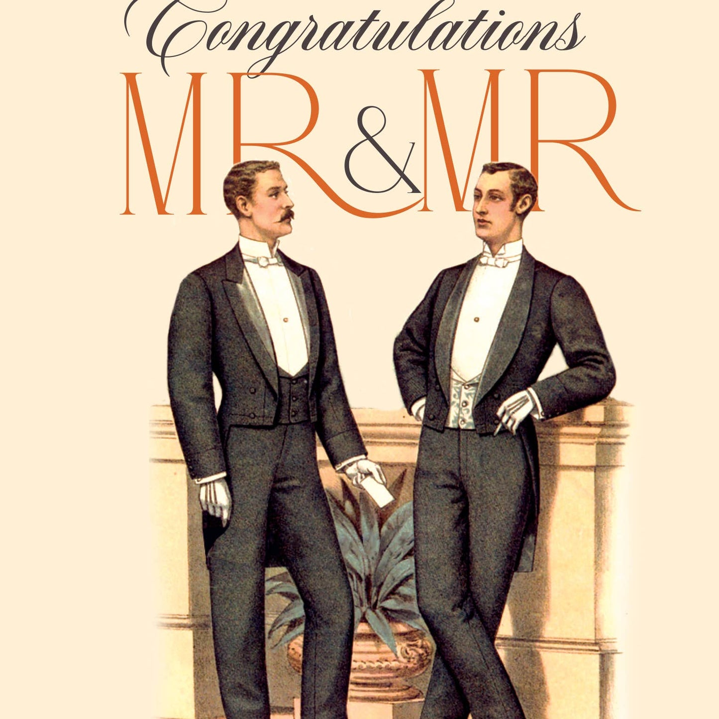 GAY WEDDING mr & mr