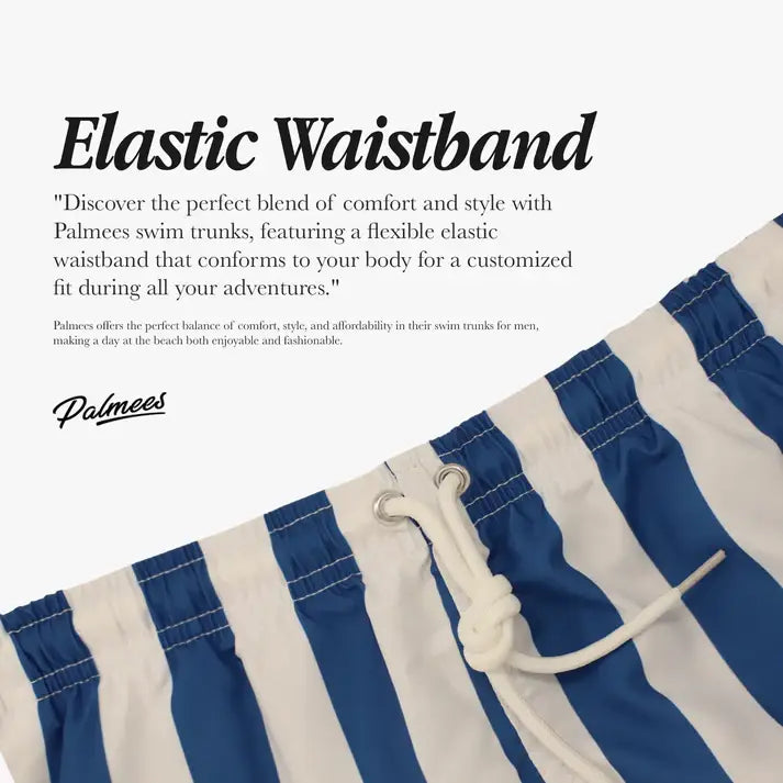Blue Stripes Swim Short: Blue / XL (34-35)