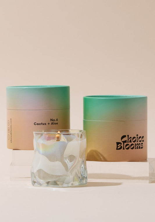 No. 6 Cactus + Aloe Candle