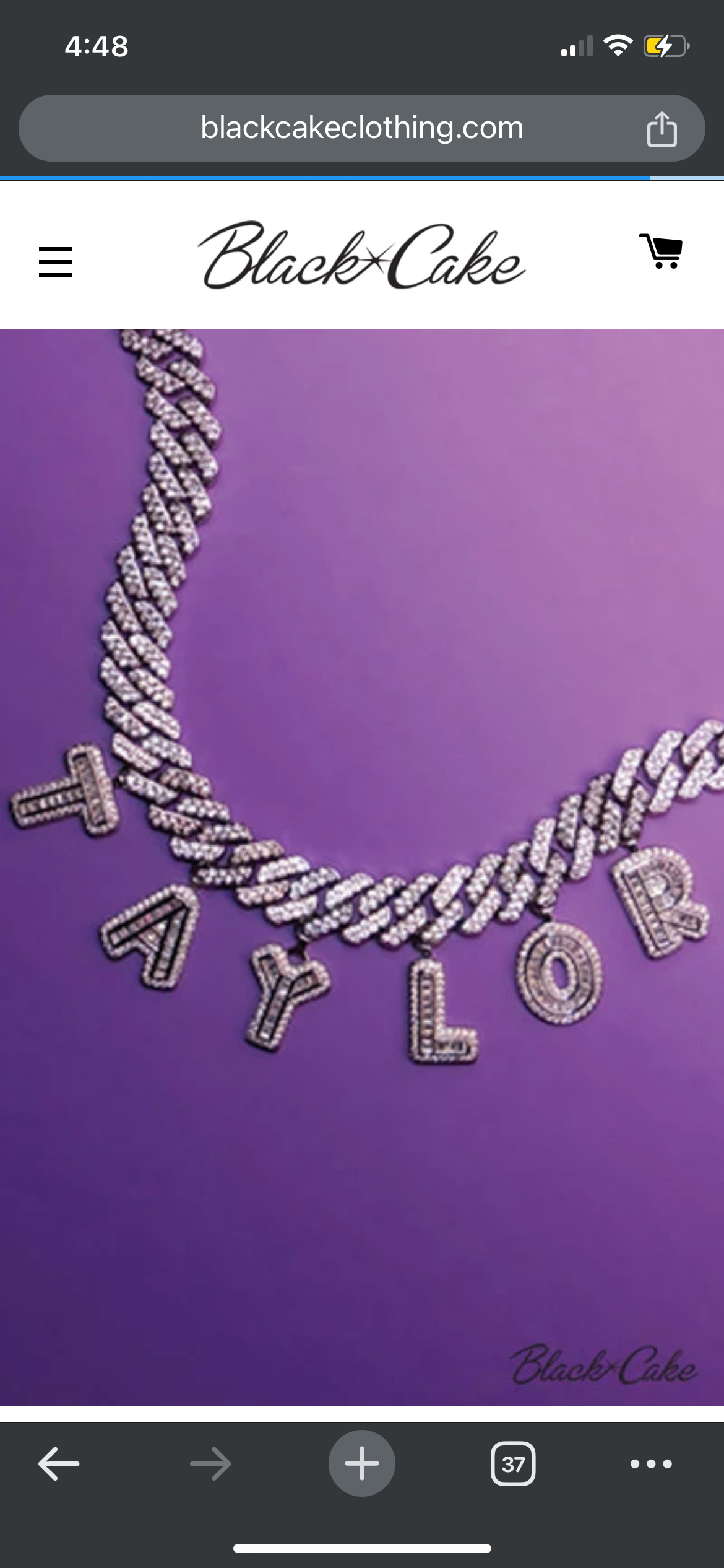 Taylor Silver Rhinestone Necklace