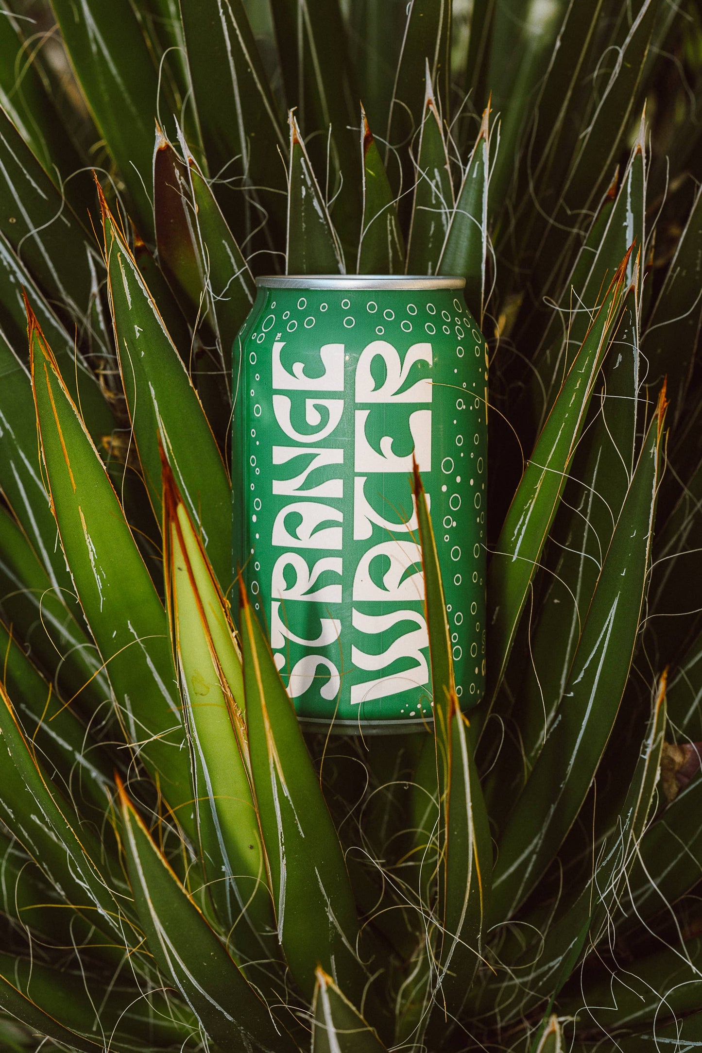Sparkling Coconut Water